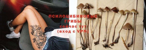 тгк Дмитриев