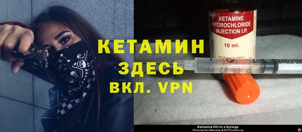 тгк Дмитриев