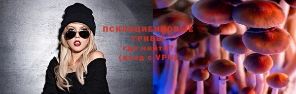 ECSTASY Дмитров
