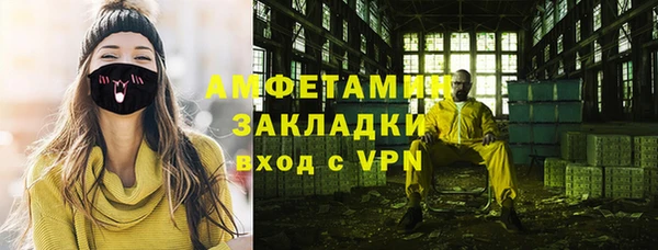 тгк Дмитриев