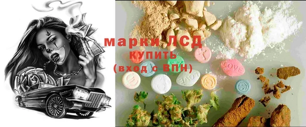 тгк Дмитриев