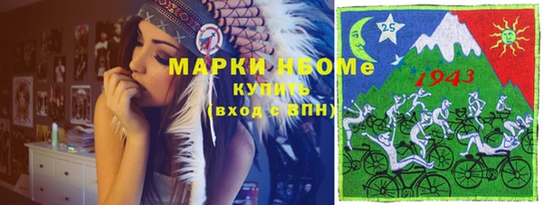 тгк Дмитриев