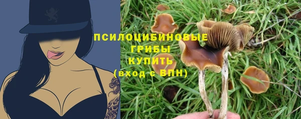 дживик Дмитровск