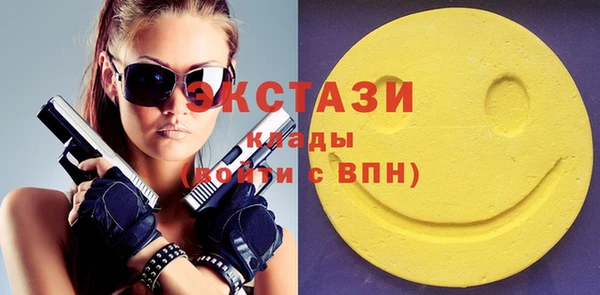тгк Дмитриев