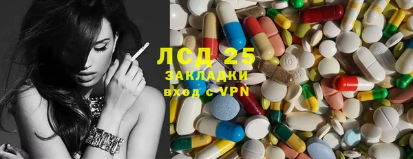тгк Дмитриев