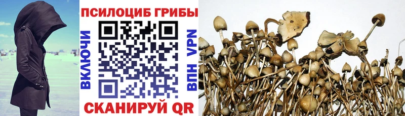 Галлюциногенные грибы MAGIC MUSHROOMS Купить где Алдан