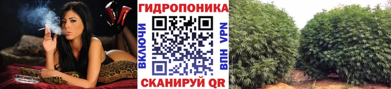 Купить  Алдан  Конопля марихуана 
